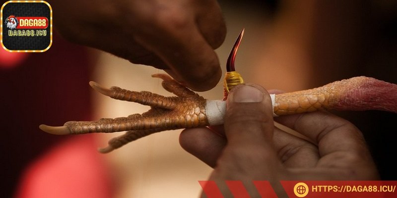 Hãy đặt cựa theo góc 30 – 45 độ so với mặt phẳng