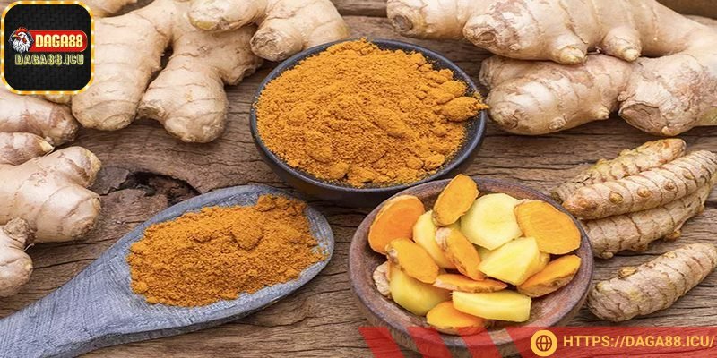 Pha nghệ cho kê từ gừng