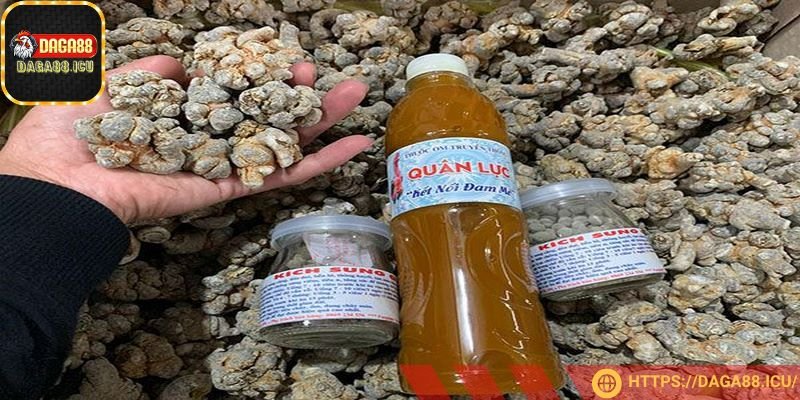 Thay thế rượu trắng bằng rượu thuốc khi pha nghệ