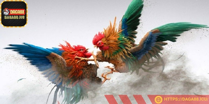 Hệ thống thường cung cấp chỉ số của từng chiến kê