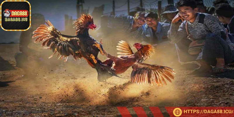 Trò chơi tập trung nhiều dòng kê chiến đẳng cấp hiện nay