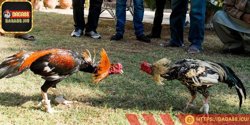 Tham gia vào hệ thống uy tín, đáng tin cậy