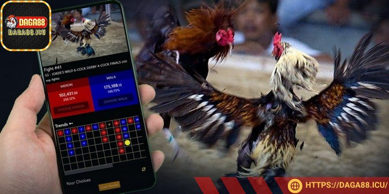 Trang web mong muốn mang tới trải nghiệm dịch vụ tốt nhất