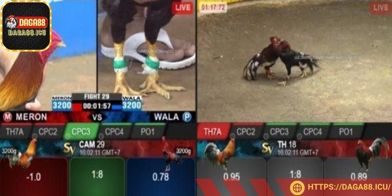 Các kèo đấu thưởng thắng hấp dẫn