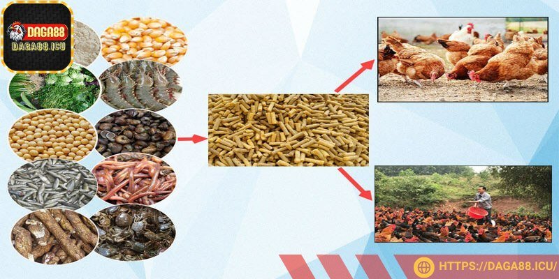 Xây dựng chế độ ăn dinh dưỡng